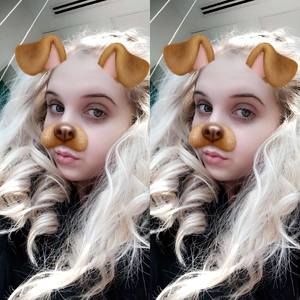 Meet your Posher, Stevie